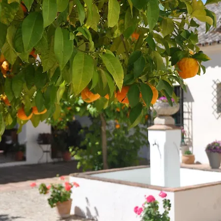 Finca San Eulogio By Casaturistica